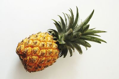 Close-up of fruit against white background