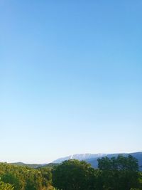 Scenic view of landscape against clear blue sky