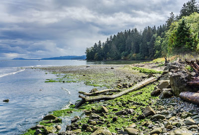 Landscape shot of pillar point on the olympic peninsula in washington state.