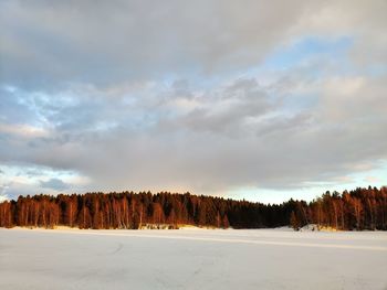 Trees on snow covered land against sky