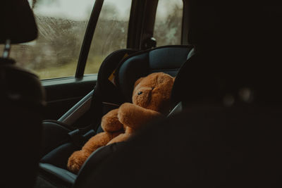 Teddy bear on child car seat