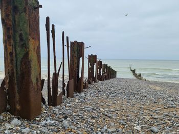Wooden posts on beach against sky