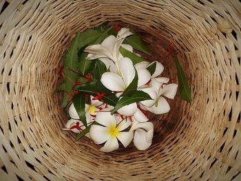 High angle view of petals in basket