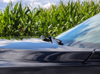 Reflections of a blue sky with clouds in the surface of a black sports car