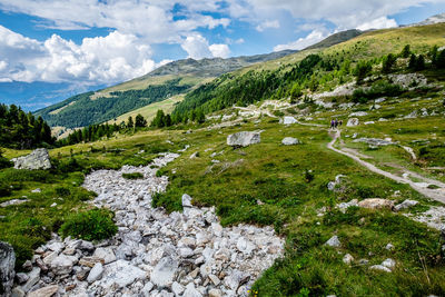 Scenic view of landscape against sky