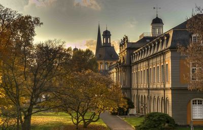 View of trees and buildings against sky