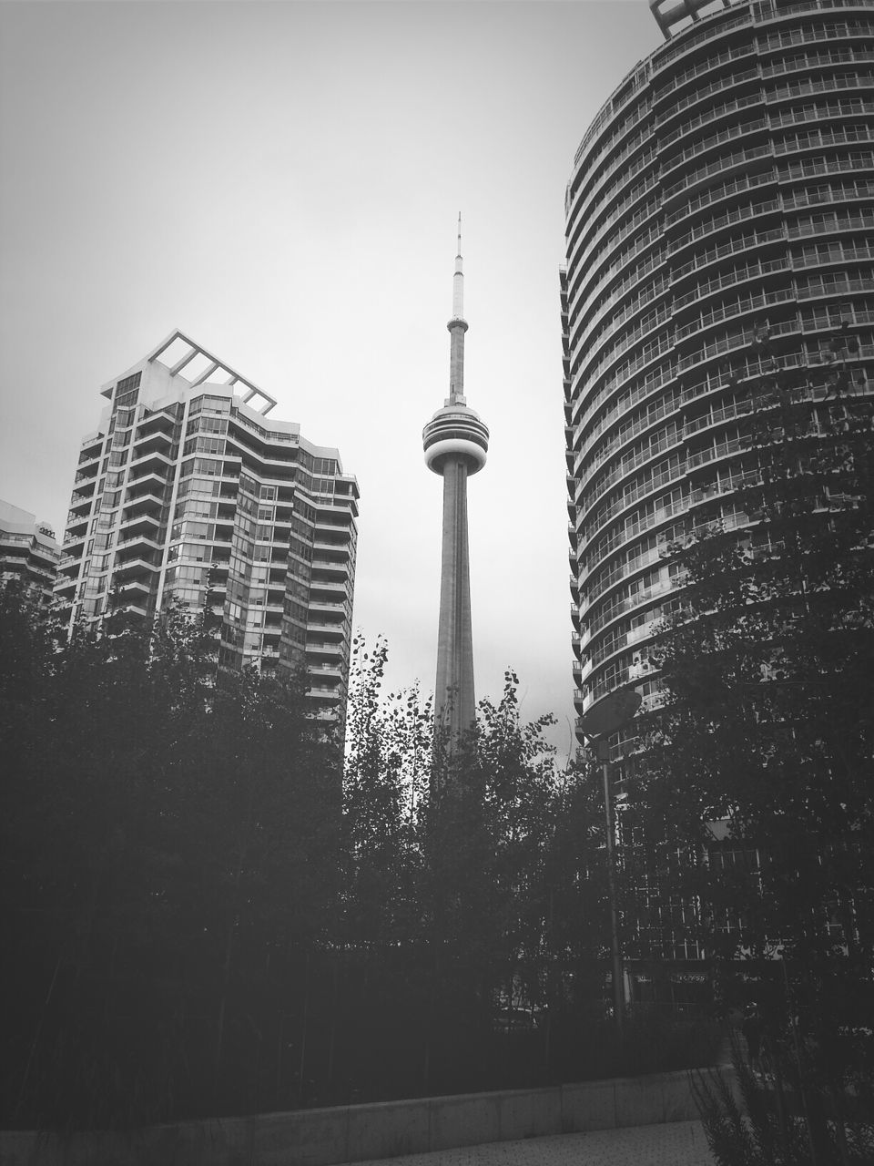 LOW ANGLE VIEW OF SKYSCRAPERS