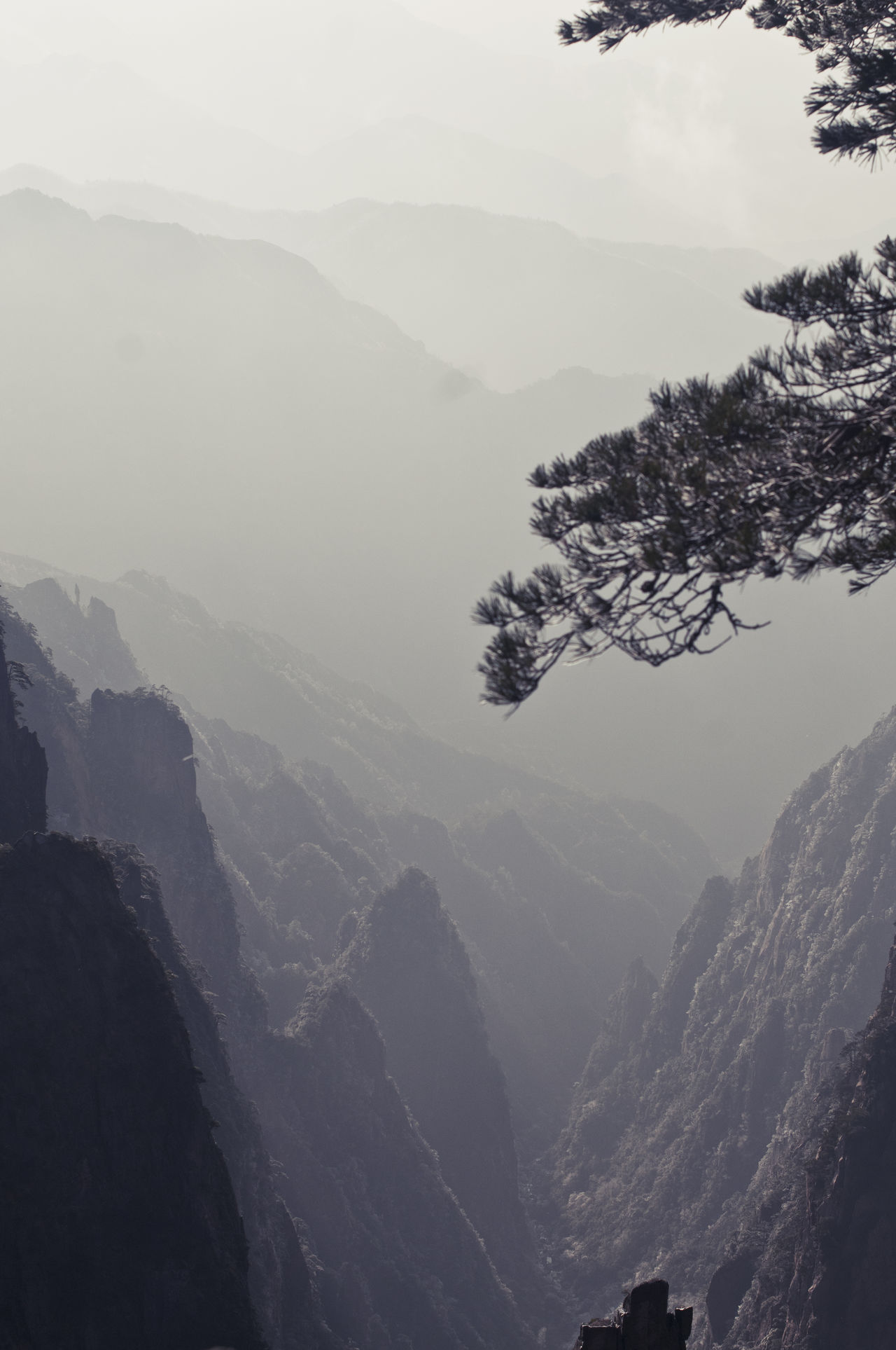 Huangshan mountains