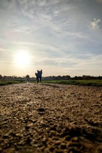 Man standing on field against sky