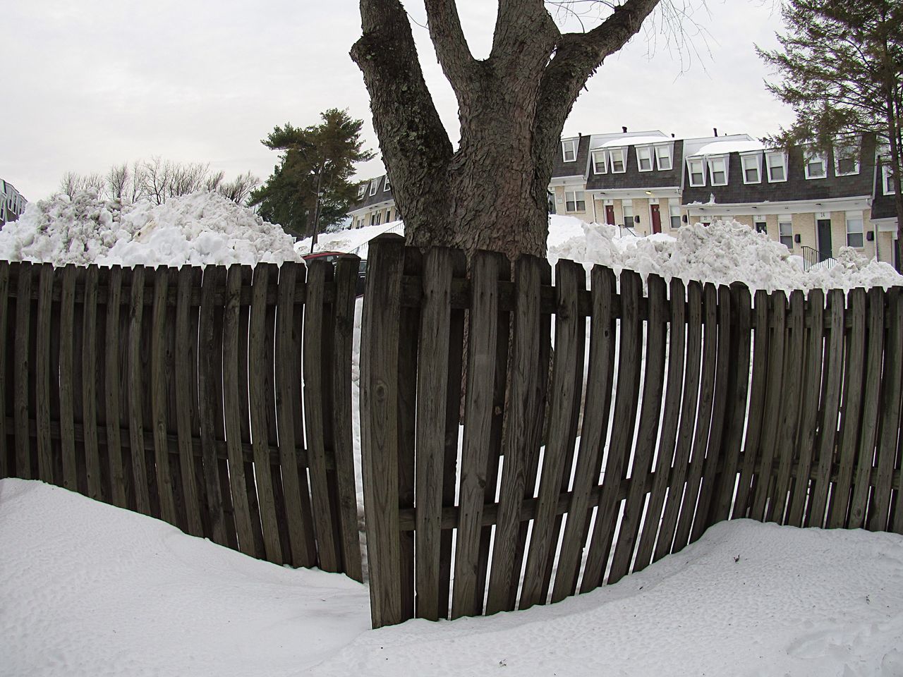 snow, winter, cold temperature, season, fence, tree, built structure, weather, architecture, covering, sky, building exterior, wood - material, field, nature, tranquility, protection, landscape, frozen, white color