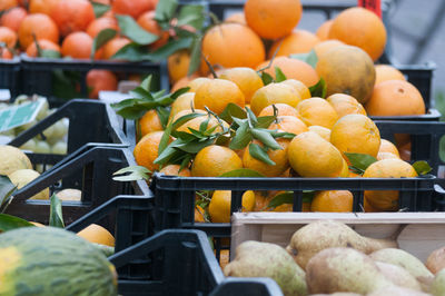 Close-up of fruits for sale at market stall