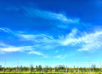 Scenic view of grassy field against cloudy sky