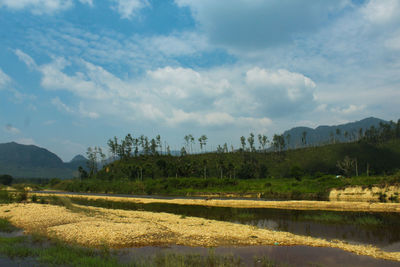 Scenic view of landscape against sky