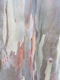 Full frame shot of weathered wall