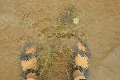 Low section of man on sand