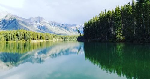 Scenic view of lake by trees against sky