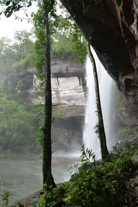 Scenic view of waterfall in forest