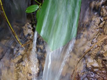 Scenic view of waterfall