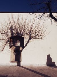 Bare tree in city against sky