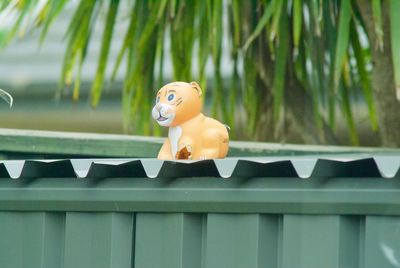 Close-up of stuffed toy on window