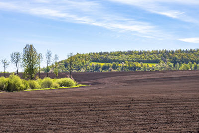 Plowed field with lush trees in a rural landscape