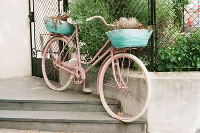 Bicycle by potted plants against wall