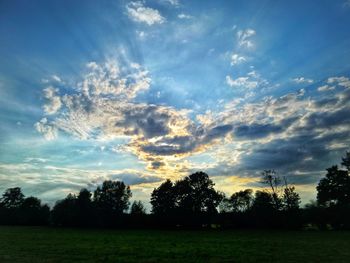 Silhouette trees on field against sky at sunset