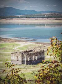 Plants growing on landscape