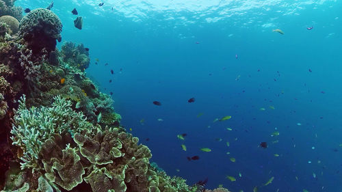 underwater