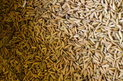 Full frame shot of onions