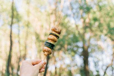 Cropped hand of woman holding skewer in garden