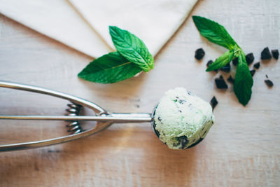 High angle view of peppermint ice cream on serving scoop