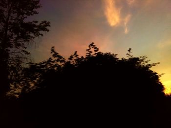 Low angle view of silhouette trees against sky at sunset