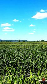 Scenic view of field against cloudy sky