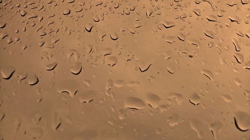 Full frame shot of raindrops on glass window