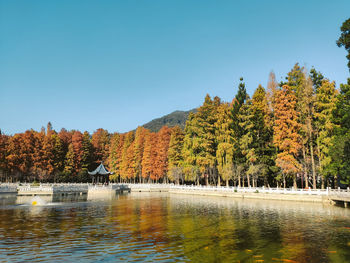 Scenic view of lake by trees against clear sky