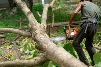 Side view of man holding tree trunk