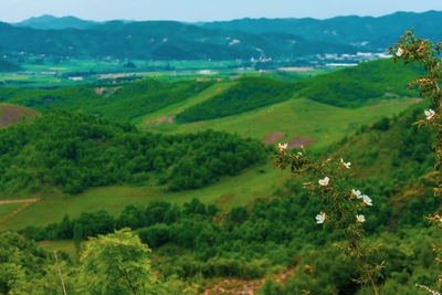 Scenic view of green landscape and mountains