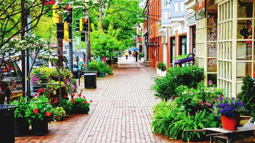 View of building with trees in foreground