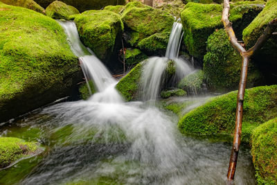 Beautiful waterfall with clear water on a mountain stream in the forest. breathing of rain forest