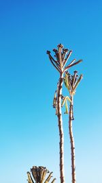 Low angle view of ferris wheel against clear blue sky