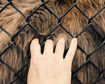 Low section of man standing by chainlink fence