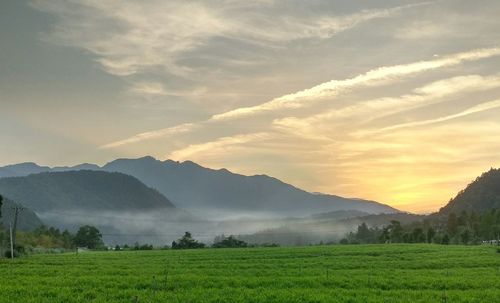 Scenic view of field against sky during sunset