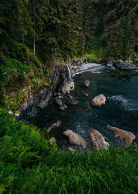 Scenic view of rocks in forest