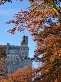 Low angle view of trees and buildings against sky