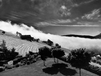 Scenic view of agricultural field against sky