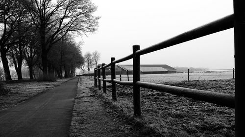 Empty road along bare trees