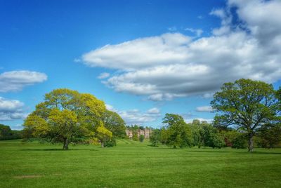 Scenic view of grassy field against cloudy sky