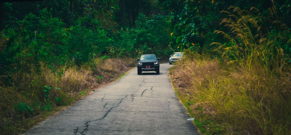 Road amidst trees in forest