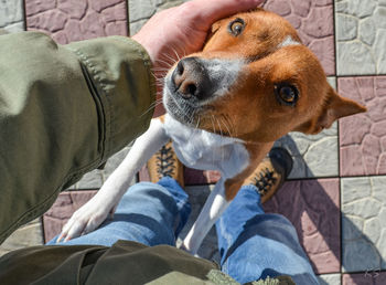 Low section of man sitting with dog